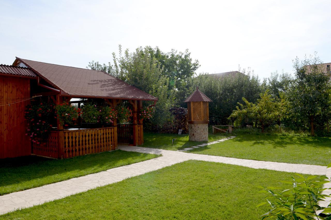 فندق Casa Flora Sînmartin المظهر الخارجي الصورة